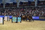 Extreme - 00438